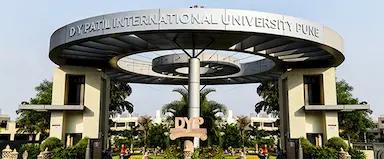 DY Patil University Online